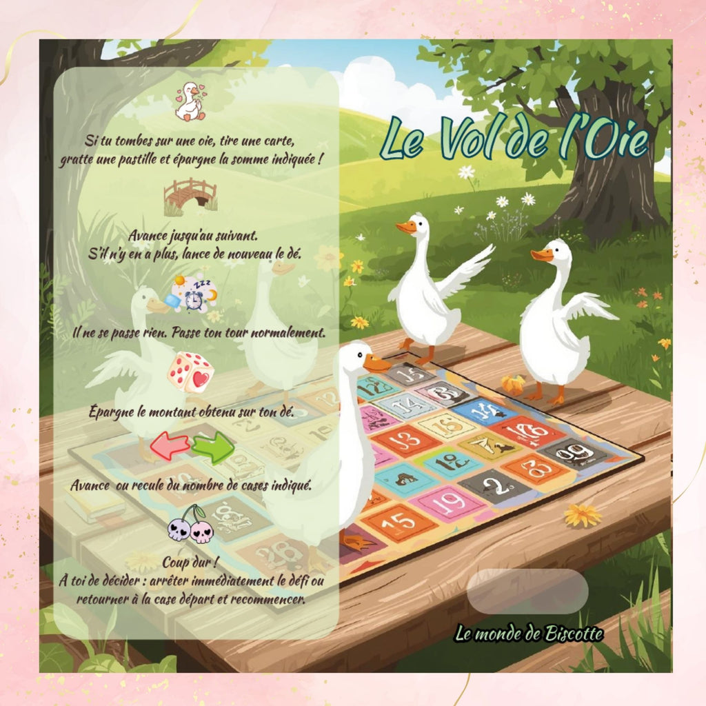 Defi epargne Le Vol de l Oie fiche de jeu et regles